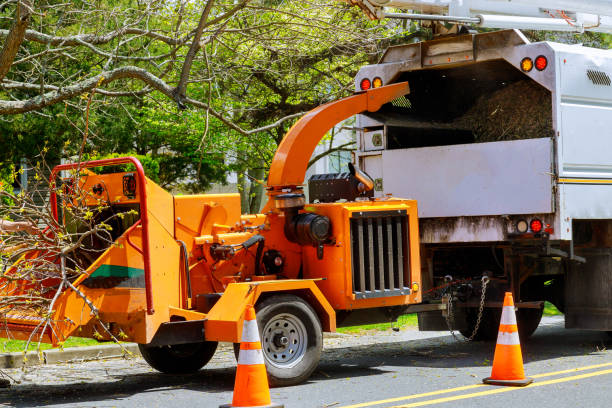 Best Tree Risk Assessment  in Kimball, NE